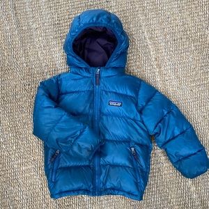 Patagonia Hi-Loft Down Sweater Hoody Coat
